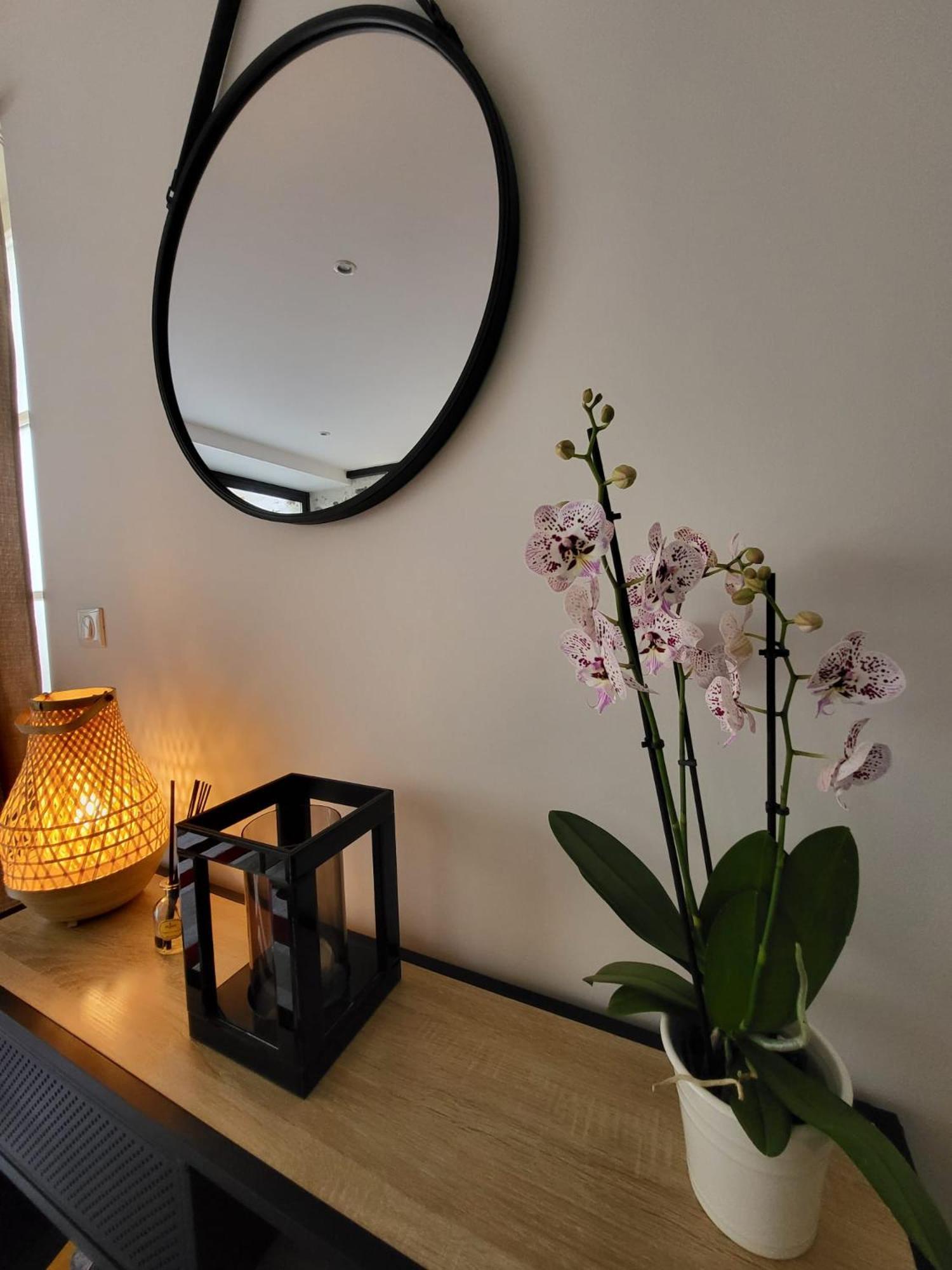 Le Patio - Appartement Calme - Hyper Centre ポー エクステリア 写真